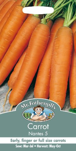 Mr Fothergill's 20670 Vegetable Seeds, Carrot Nantes 5