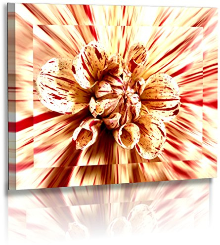 Premium Leinwandbild XXL - Natur - Blumenfotos - Blume - Dahlien - Abstrakte Bilder - Leinwand : 40 cm x 30 cm
