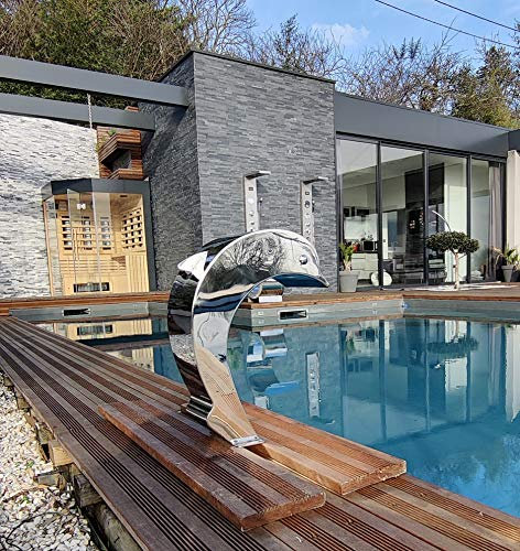 Cascade Inox Fontaine Piscine Bassin Modèle Dauphin avec Oeuil et Aileron Hauteur 41cm / Larg 16,8cm