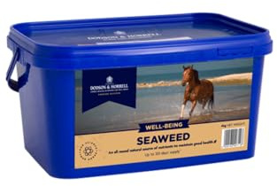 Dodson & Horrell Seaweed Horse Supplement, 2 kg