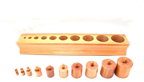 edu fun 91106 Montessori Zylinderblöcke Holz Zylinder pädagogisches Lernspielzeug ab 3 Jahre Durchmesser gleich und Höhe unterschiedlich Holzspielzeug Massivholz (Variante 1)