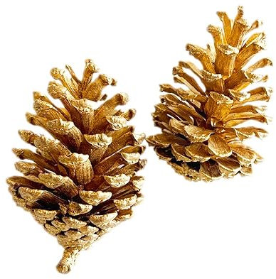 Blausky 12 Stück Weihnachten Tannenzapfen,Natur Pinienzapfen Anzapfen Kiefernzapfen Dekoration Kiefernzapfen Thanksgiving Ornamente,für Party Advents DIY Handwerk Weihnachtsbaum,12–15 cm,Gold A