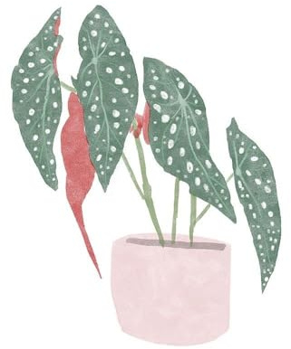 ArtDirect Polka Dot Begonia IV Unframed Art Print Giclee Poster by Bannarot - Ready for Framing with Customization Sizes 8x8, 11x11, 16x16, 24x24, 36x36, and 48x48 Inches