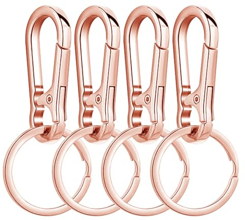 YOGAZEN Karabiner Schlüsselanhänger, Karabinerhaken Klein Metall Schlüsselkarabiner,Schlüsselring mit Karabiner für Aufhängen im Rucksack, Autoschlüssel