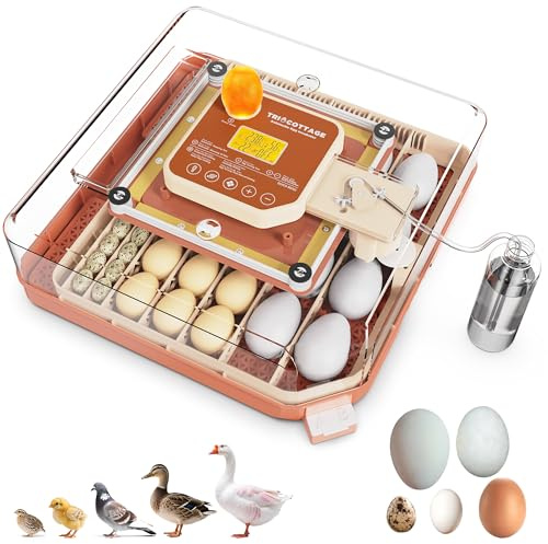 Inkubator für 48 Eier,Brutautomat Vollautomatisch mit Automatischem Wenden der Eier und Automatischer Befeuchtung,Brutkasten mit Eier-Schierlampe für Hühner, Gänse und Wachteln