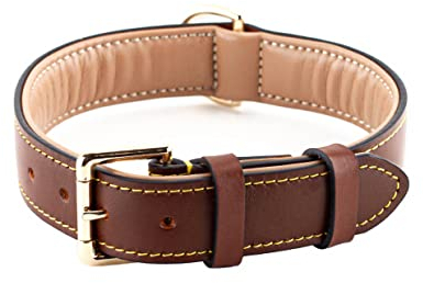 Brute Strength Hundehalsband aus Leder - Braun - XXL - 66-73 cm