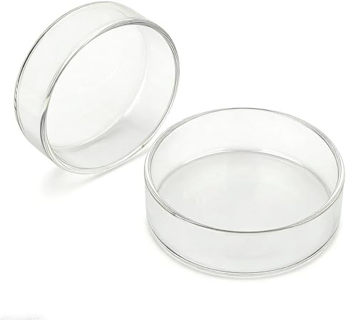 Aquarium Glas Garnele Futternapf Schalen Reptilien Wassernahrungsmittelschale Feeder Schüssel (65mm Runde)