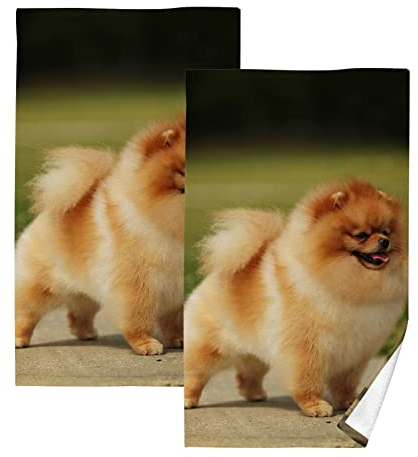 YOUJUNER 2 Stück Baumwolle Handtuch Set Niedlich Pomeranian Hund Handtuch Gesicht Handtücher Badetücher Waschlappen Fingerspitze Dekorative Handtücher