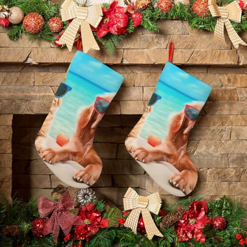 KHiry Weihnachtsstrümpfe, 45,7 cm, personalisierbar, für Sommer, Strand, lustig, Katze, Hund, Plüsch, Weihnachtsstrumpf, Weihnachtsstrumpf, Dekorationen für Urlaub, große Strümpfe für