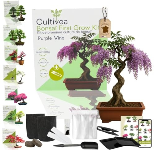 CULTIVEA Kit First Bonsai – Autocultivo de Bonsáis con Semillas y Herramientas – Fácil y Completo | Idea de Regalo (Purple Wine)
