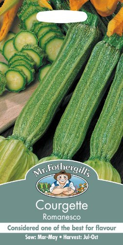 Mr Fothergill?s Seeds Ltd 17858 Vegetable Seeds, COURGETTE Romanesco