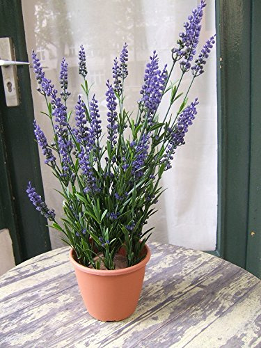 Licht & Grün exclusive Kunstpflanzen Künstlicher Lavendel im Gefäß Top-Qualität