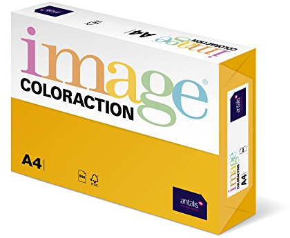 Coloraction Ramette de papier avec 250 feuilles Or pâle A4 160 g/m²