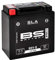 BS Battery 300837 BB12AL-A2 AGM SLA Motorrad Batterie, Schwarz