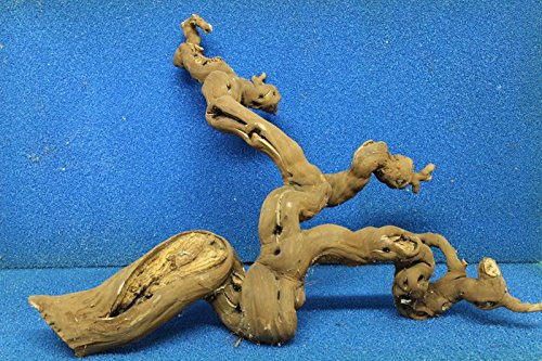 50-70 cm XXL Weinrebe Terrarium Wurzel Weinrebenholz Weinrebenwurzel