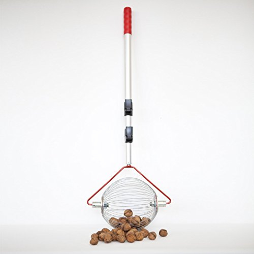 Feucht Obsttechnik Walnuss-Sammler - mit Teleskopstab - der Roll-Blitz - die kleinste Obstaufsammelmaschine der Welt direkt vom Hersteller für Walnüsse, Pflaumen, Golfbälle UVM (Silber medium)