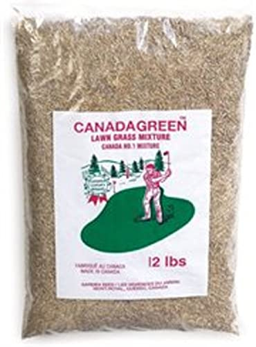 Canada Green Grass Lawn Seed - Grows Healthy Rich Green Grass Lawn Seed Plants Yard Garden 12 Pound Bag