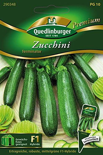 Zucchini Terminator von Quedlinburger Saatgut