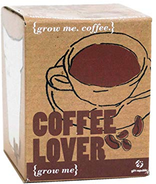 Gift Republic GR130003 Grow Me Coffee Lover, 12.0 cm*12.0 cm*12.0 cm