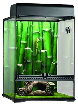Exo Terra Terrarium aus Glas, Bamboo Forest Set, mit einzigartiger Front Belüftung, inkl. Moos Matte, Thermometer, Hygrometer, Bambusornament, 45 x 45 x 60cm