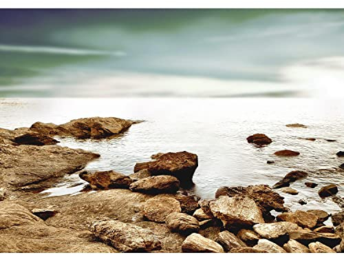 Runa Art Papier peint intissé Mural Plage et mer Moderne Toison Salon Chambre à Coucherr Salle - Tableaux Muraux Tapisserie Photo - gris marron 9007010a