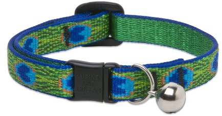 LupinePet Originals 1/2 Tail Feathers Cat Safety Collar with Bell , 8-12