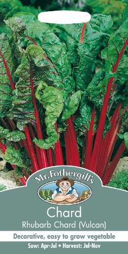 Mr Fothergill's 23528 Vegetable Seeds, Rhubarb Chard (Vulcan), red