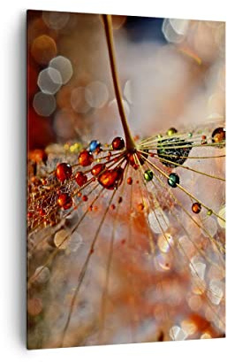 Wandbilder Dekoration Wohnzimmer Spinnennetz modern Bilder auf Leinwand 80x120cm Leinwandbild mit Rahmen Schlafzimmer Küche Deko Wand Kunstdruck Art Groß XXL Wanddeko Bild Wall Canvas PA80x120-3774