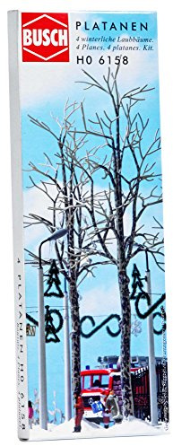 DISC 4 winter deciduous trees