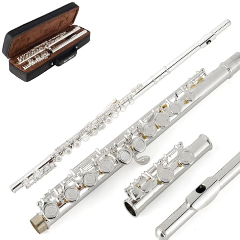 EastRock C Flute Silver Open Hole,16 Key Flute Musical Instrument with Carrying Case, Stand, Gloves, Cleaning Cloth and Rod for Beginner,Kids, Student (Silver Plated)