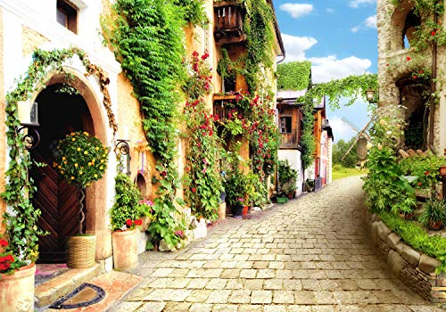 wandmotiv24 Fototapete Strasse Stadt Pflanzen, 300 x 210 cm - selbstklebende Strukturtapete, Wanddeko, Wandbild, Wandtapete, Stein-weg, Dorf-Gasse, Fresko M1099