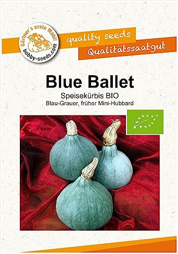Blue Ballet BIO Kürbissamen von Bobby-Seeds Portion
