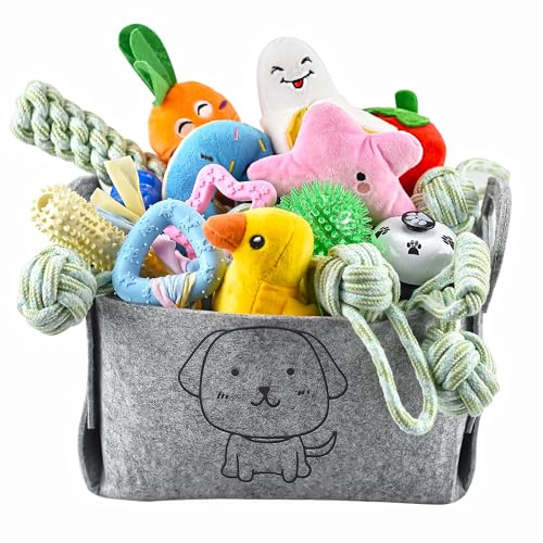 Ousiya Lot de 24 Jouets pour Chiots, Jouets de Dentition pour Chiots avec boîte de Rangement, à mâcher pour Chiens et couinants pour Chiens de Petite et Moyenne Taille
