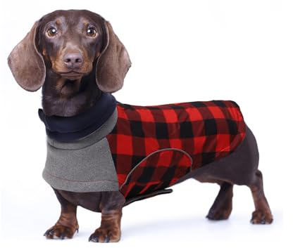 Babepet Wintermantel für kleine Hunde, wasserdicht, Dackel-Jacke mit Loch für Geschirr, ideal für Spaziergänge, Wandern, Camping, Rot kariert, Größe L