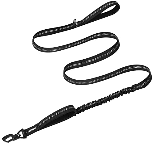 OneTigris Hundeleine 152cm-188cm, Bungee Jumping Design Leine Hund mit Tiger Zahn Metallclip und 2 Weiche Polsterung, Reflektierend Nylon Hundeleine Geeignet für Mittlere Große Hunde Schwarz