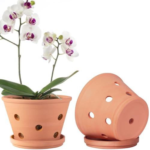 20,3 cm große Terrakotta-Orchideentöpfe mit Löchern und Untersetzern, 2 Stück, Ton-Orchideen-Pflanztöpfe zum Umtopfen, großer Terrakotta-Orchideentopf, Pflanzen-Blumentöpfe für Orchideen drinnen und