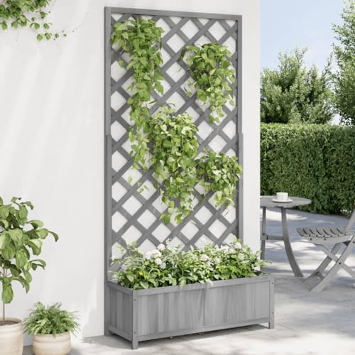 Hovothy Jardinière avec treillis - Pour l'extérieur - Pour balcon - En bois de sapin massif - Gris - 90 x 35 x 180 cm