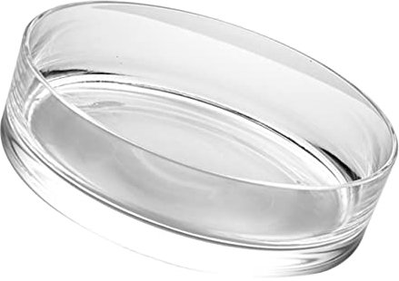 TOYANDONA Vase en Verre Transparent pour Hydroponie Décoration De Bureau 20x20x8 Cm pour Aquarium Et Plantes Design Créatif Et Délicat
