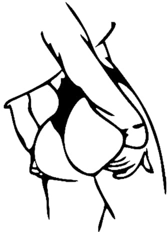 Autocollants réfléchissants pour voiture – Autocollants amusants | Silhouette de femme sexy pour moto, logo de visibilité, étiquette réfléchissante pour pare-chocs, ordinateur portable