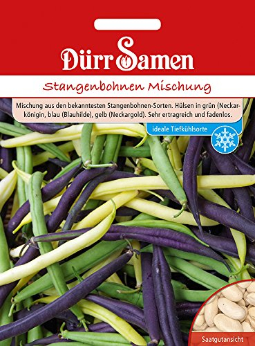 Dürr-Samen - Stangenbohnen Mischung Saatgut
