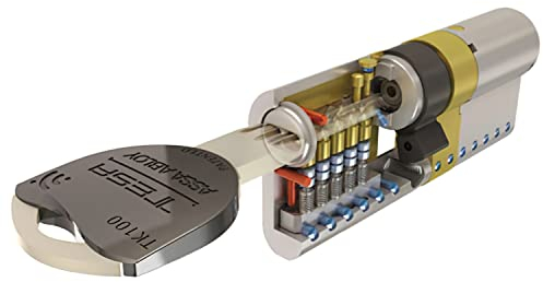 Tesa Assa Abloy TK100 Cilindro de Seguridad Tk1 30 x 30 mm, Niquelado