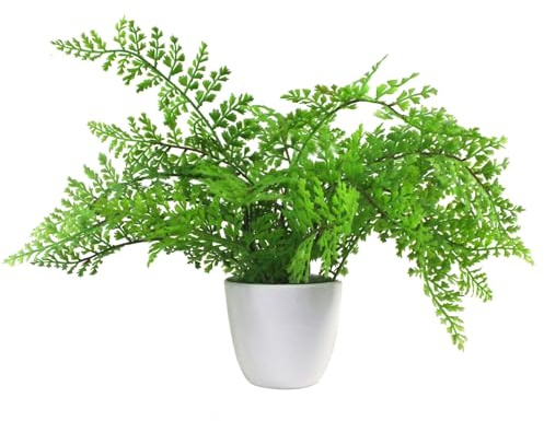 Leaf Künstlicher Farn in Topf, 30 cm, Royal Fern