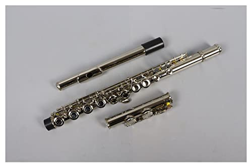 DZDZDZ querflöte Instrument 16-Loch- Flöte E- Taste Kupfernickel vernickelt Konzertflöte mit Reinigungstuch Stick Handschuhe gepolsterte Tasche Einsteigerflöte
