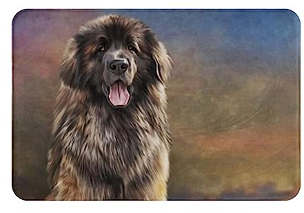 Oudrspo Fußmatte, 40,6 x 61 cm, Leonberger-Hund, saugfähiger Eingangsteppich, Eingangs-Bodenmatte