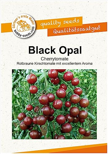 Tomatensamen Black Opal Cherrytomate Portion