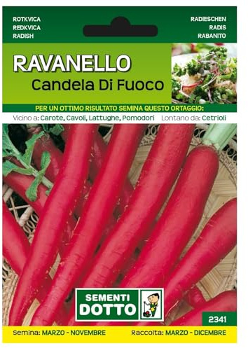 Sicignano Semi Ravanello Candela di Fuoco - Pianta Crucifera Medio-Precoce, Radice Rossa 15cm, Busta Extra - 2 Confezione da 10g, Semina Marzo-Novembre, Raccolta Marzo-Dicembre