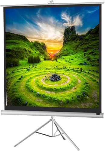 celexon Economy Stativ-Leinwand weiß 120 | 219x219 cm 1:1 | mobil transportable 4K, Full-HD Beamerleinwand mit manuellem Rollauszug für Heimkino, Büro & Outdoor | inkl. Standfuß + Tragegriff
