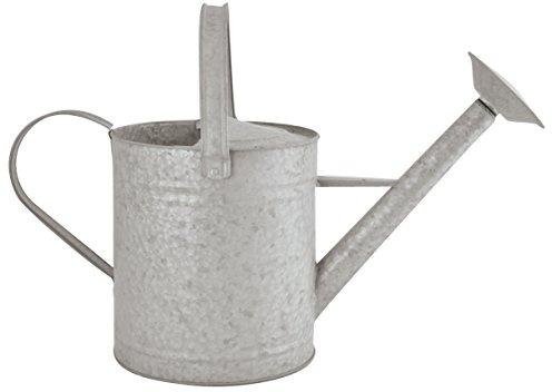 Esschert Design Altzink Gießkanne 8,7 Liter, 55,5x24x30,5 cm