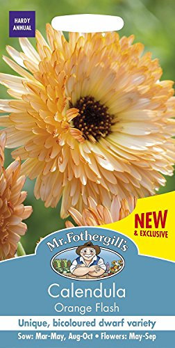 Mr Fothergill's Calendula Flash Seed Packet, Orange