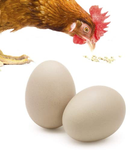 SunGrow Hühnerei-Packung aus Holz, 7 cm, fördert das Eierlegen und verhindert das Picken und Essen